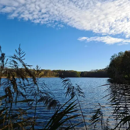 Ferienwohnung Praelank Direkt Am See Neustrelitz Zewnętrze zdjęcie